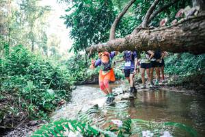 BIB: 
                            <button type="button" onclick="openModal(25458683)" class="btn btn-primary btn-sm float-right btn-popup" data-toggle="modal" data-target=".modal-high-quality">
                        <i class="fas fa-shopping-cart"></i> Add to Cart
                    </button>
                                            <button type="button" onclick="isThisMe(25458683, true)" class="btn btn-success btn-sm float-right btn-popup btn-isme hidden" data-toggle="tooltip" data-placement="bottom" title="นี่คือรูปของคุณใช่ไหม คลิกที่นี่เพื่อเอาเข้าอัลบั้ม">
                        <i class="fas fa-plus"></i> Add to album
                    </button>
                    <button type="button" onclick="isThisMe(25458683, false)" class="btn btn-warning btn-sm float-right btn-popup btn-isnotme hidden">
                        <i class="fas fa-ban"></i> Remove from album
                    </button>